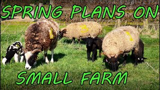 DAY in the LIFE of a SMALL UK Farm | Lambs, Jobs and Market Garden