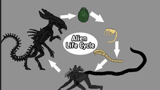 Alien(Xenomorph) Life Cycle | AUTO RPG Anything