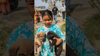 Puppy  shorts viral radhamalla