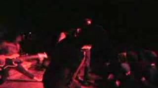 Elysia - Malignancy 1-31-08