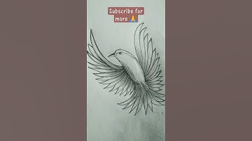 Flying bird drawing#shorts#art#drawing#art#viral#birds