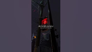 لا تسخر من أحد.. فقد يكون خيرًا منك سورة الحجرات #قرآن #quran #القرآن_الكريم