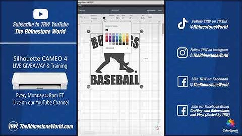 How to Start a Baseball Vinyl Decal Business with 1 True Type Font in 1 Minute