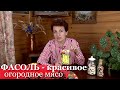 Фасоль - красивое огородное мясо