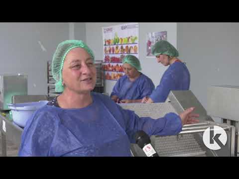 ხილის გადამამუშავებელი საწარმო სოფელ ჩუმლაყში