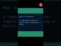 What is Coroutine