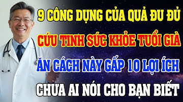 Đu Đủ với 9 Công Dụng Khiến Bác Sĩ Cũng Bất Ngờ – Ăn Thế Này Mới Thật Sự Hiệu Quả!