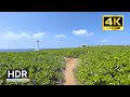 Okinawa Walk - Zanpa Misaki Park - 4K HDR