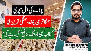 Poultry Farming Still Profitable? | Why DayOld Chick is so Much Expensive? | Future of Farming