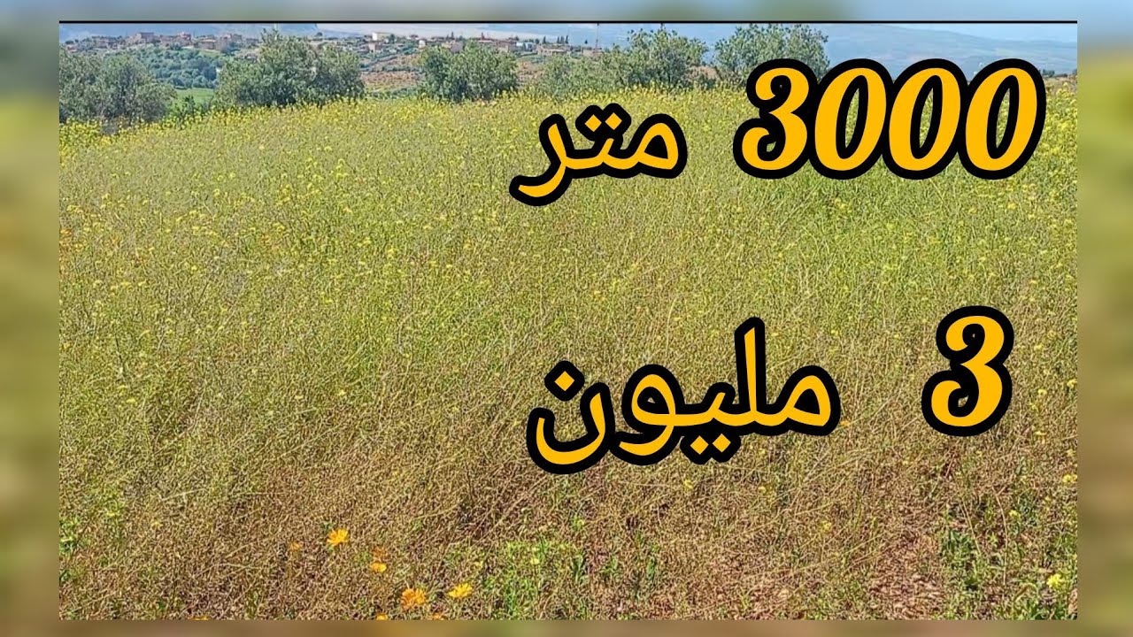 2025/4/22 : أرض ملكية عدلية تقريبا 3000 متر بدوار السراغنة بثمن 3 مليون . الهاتف : 0652902061