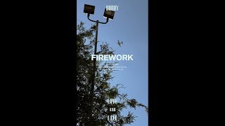 Video thumbnail of "BOBBY - LOVE AND FALL 'FIREWORK'"