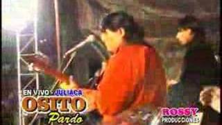 Video thumbnail of "MI VIDA NO VALE NADA - WILLIAMS ENRIQUE CH. "EL OSITO PARDO" (en vivo)"