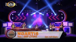 Arif Citenx - Ngartis ( M/V)