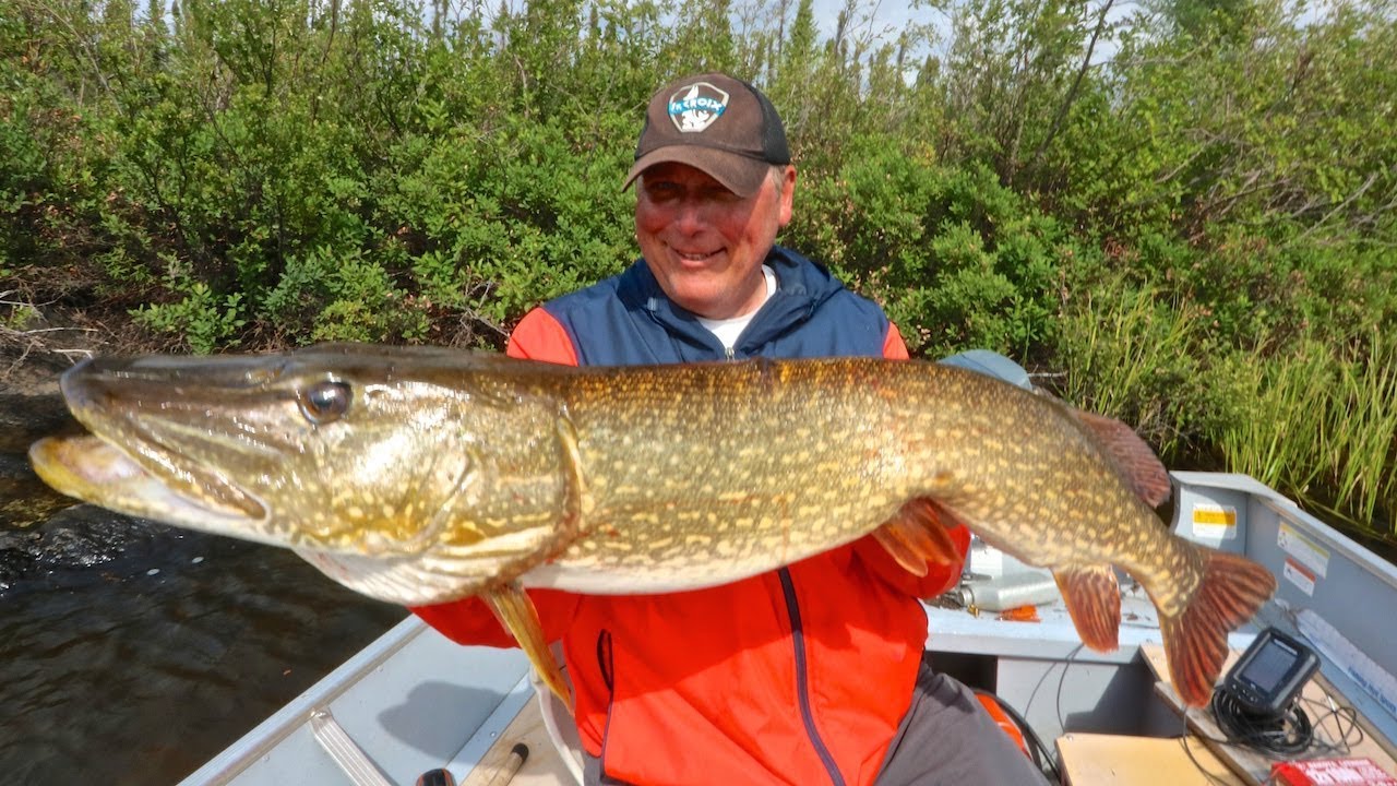 Incredible Trophy Pike Fishing On A Gangler's Portage Lake