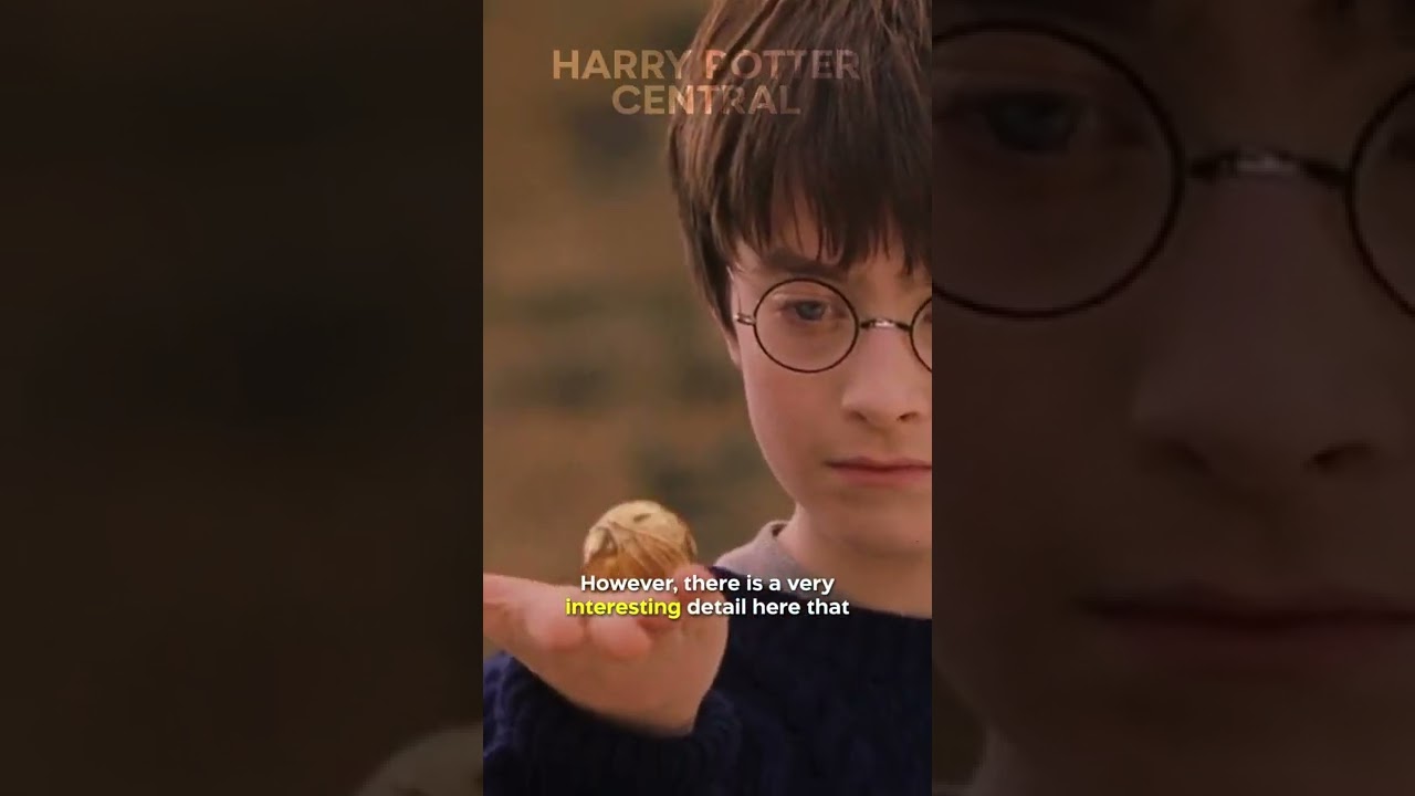 Did You Notice This About Harry’s Quidditch Skills In HARRY POTTER…