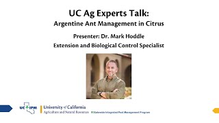 UC Ag Experts Talk: Argentine Ant Management in Citrus screenshot 4