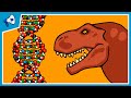 What is dna and how does it work