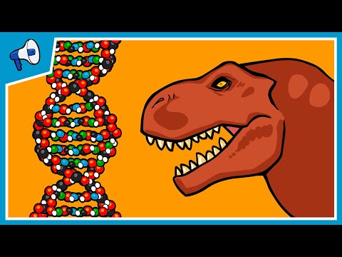 Video: What Is DNA