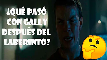 ¿Quién traicionó en Maze Runner?