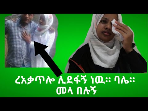 ቪዲዮ: በዲንች ውስጥ ሲሞት የተገኘ ውሻ በሕይወት ውስጥ ሁለተኛ እና ሦስተኛ ዕድል ከተሰጠ በኋላ ደስታ ያገኛል