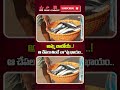 అమ్మ బాబోయ్..! ఆ చేపలు తింటే చా*వు ఖాయం..| Oh My God..! Eating Those Fish Could Be..| @BRKLegal