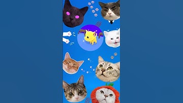🐱 Levels 11–15 Before You Could Say MEOW! 🐾🔥  | Cat Escape