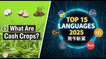 💻 Top 15 Programming Languages in 2025 🚀 | Which One Should You Learn?