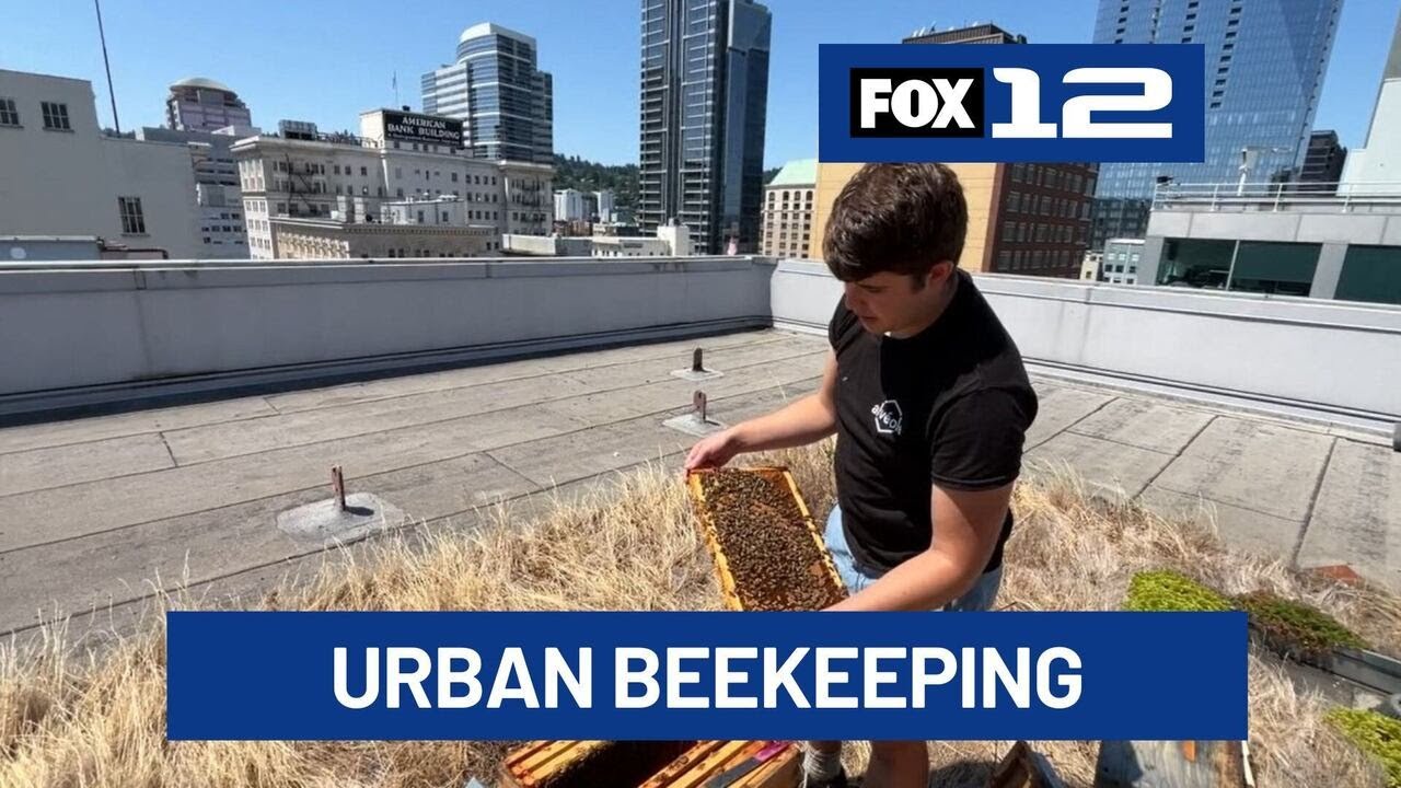 Urban beekeeping in downtown Portland