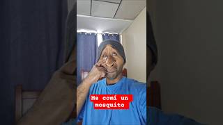 Me comí al pobre mosquito 😭