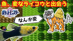 Mutekimaru Channel Youtube