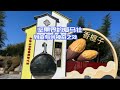 中国独有坚果香榧子 三年才成熟 树种来自古老的第四纪冰川时期 中国独有坚果香榧子 三年才成熟 树种来自古老的第四纪冰川时期