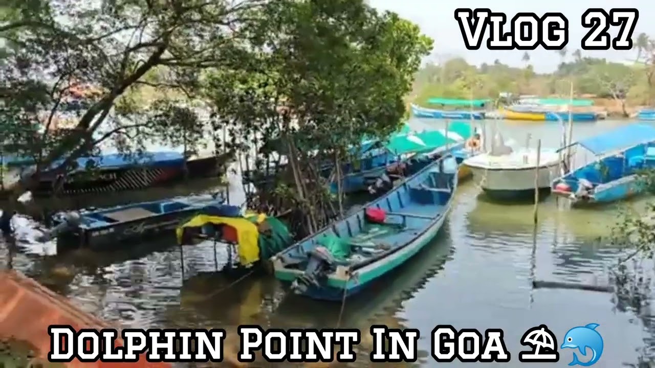 Dolphin Point in Goa ⛱️🐬 | Best Experience in Goa 
