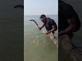 Fishing with fish and hens leg's bait 🍗 🐟//#fishing #fish #fishingvideo