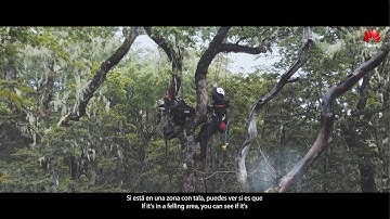 How “Guardians” Are Protecting Nature