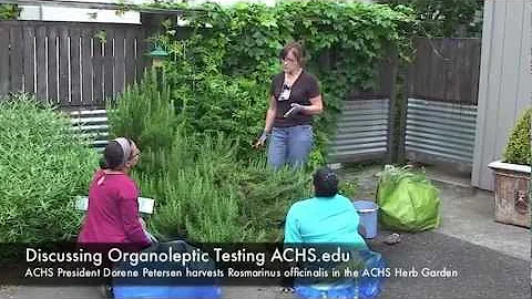 Organoleptic Testing Discussion at the Rosemary Ha...