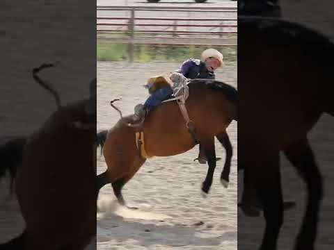 bucking bronc, buckaroo, rodeo, rodeo cowboys, cowboys, cowgirls, country l...