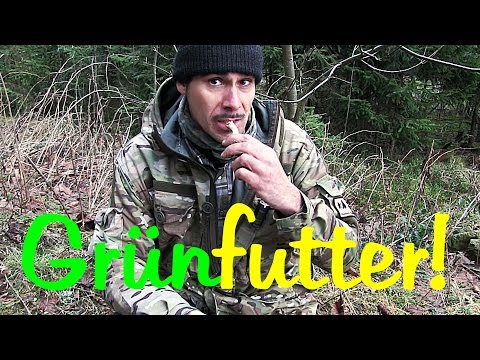 [GRÜNFUTTER!] Gibt es Essbare Wildpflanzen auch im Winter? |  WildpflanzenTV