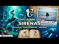 Todo sobre las sirenas: historia, teorías y avistamientos