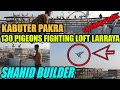 Fighting pigeons loft  shahid builder 130 kabooteron ki larrayya catching pigeon kabootar pakra vlog