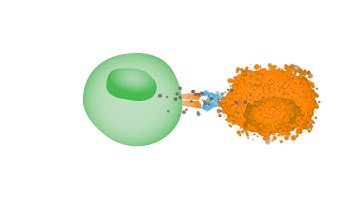 Oncolytic Virus Therapy: Dynamite for Cancer Cells