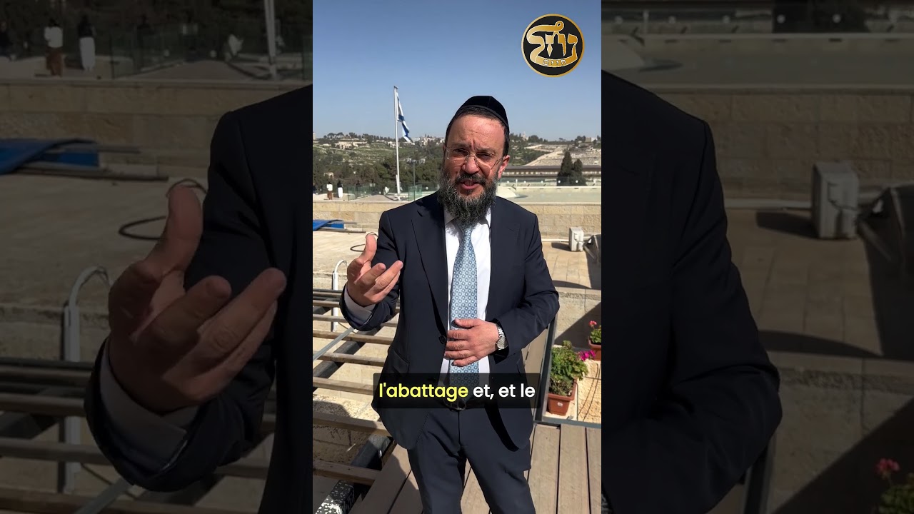 PARACHAT #TEROUMA - Donner à Hachem ce qui est cher ! La minute #Paracha avec le Rav Dagani #torah