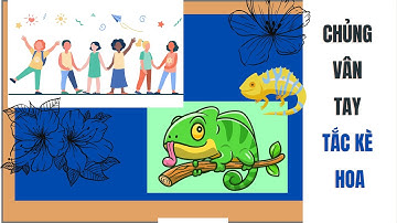 chủng vân tay Tắc Kè Hoa WC/WD