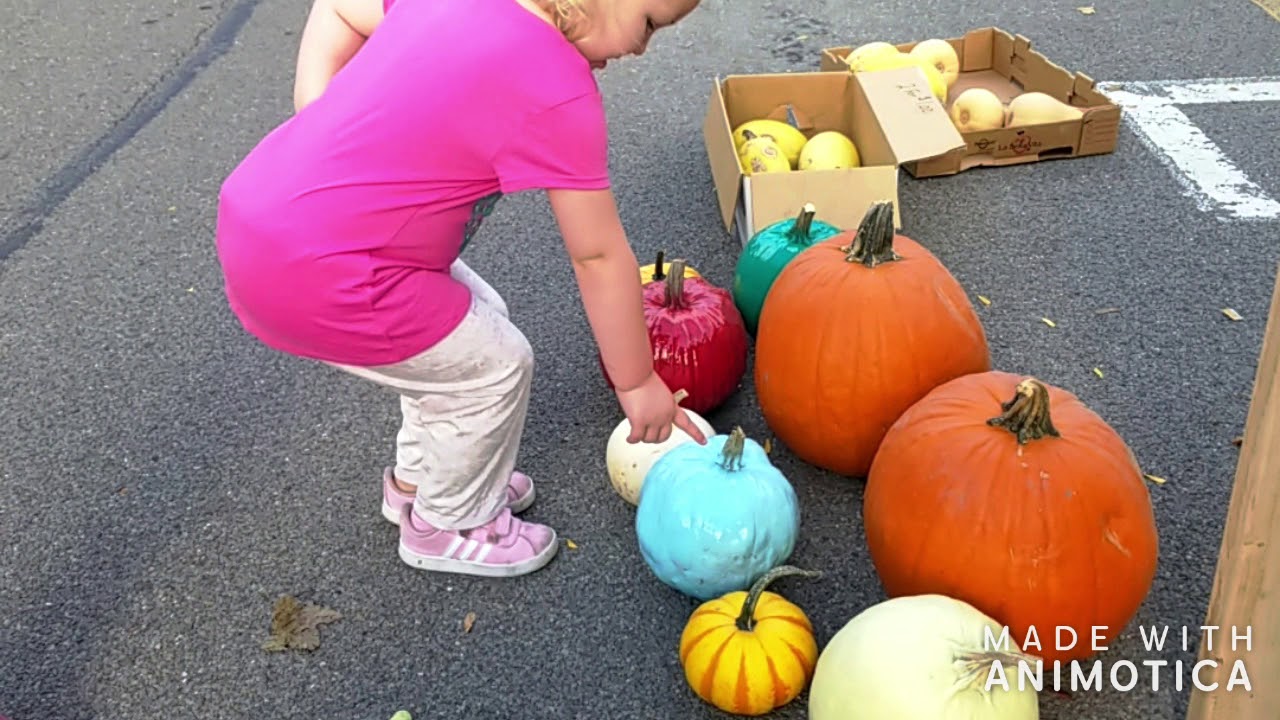 Lyons Farmers Market 2019 YouTube