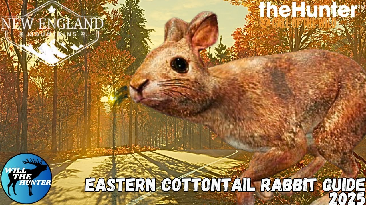 England Map Rabbit Eastern Cottontail Rabbit