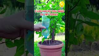2 Smart Life Hacks You Will Wish You Knew Sooner! 🧠✨ #lifehacks