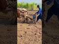 Sprite Bull Starting Old Drill Machine #shorts #shortsfeed #trending