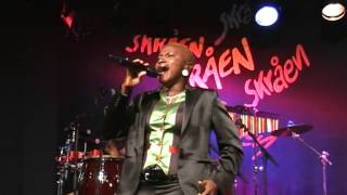 Angelique Kidjo - Djin Djin (2008) version 2