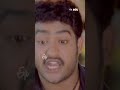 #shorts - Best scene from Simhadri #NandamuriTarakaRamaRao #BhumikaChawla #Ankitha #SSRajamouli