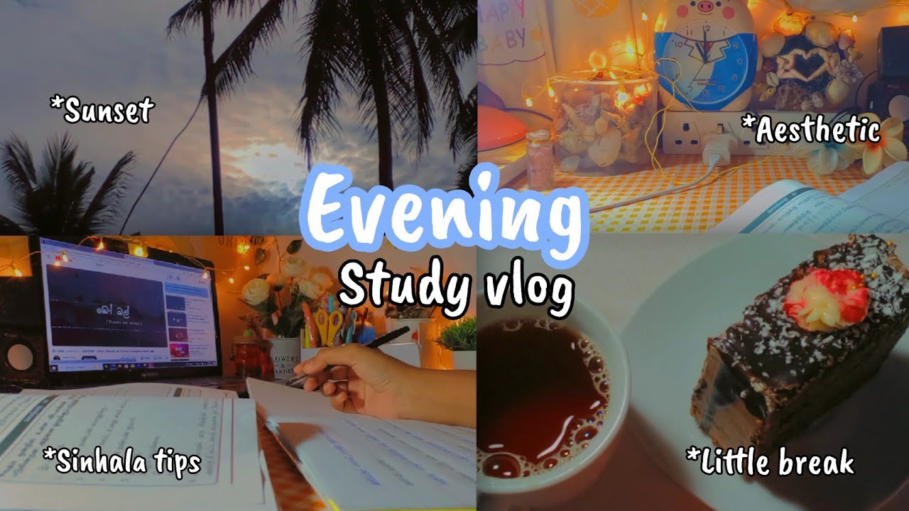 🌙 “Evening Study Vlog | මගේ සිංහල පාඩම් කරන රහස්”| learn with lohii | O/l diary | Grade 10| 🕯️💫