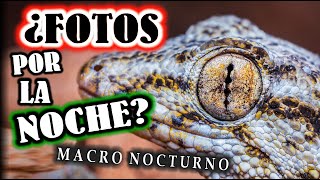 ¿Qué es ésto del MACRO NOCTURNO?